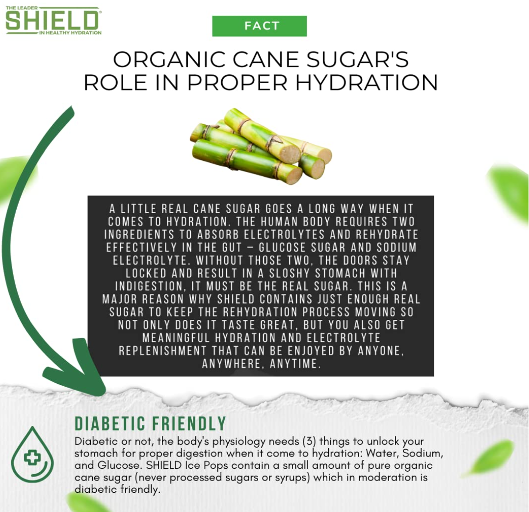 SHIELD® 36ct Electrolyte Freeze Pops